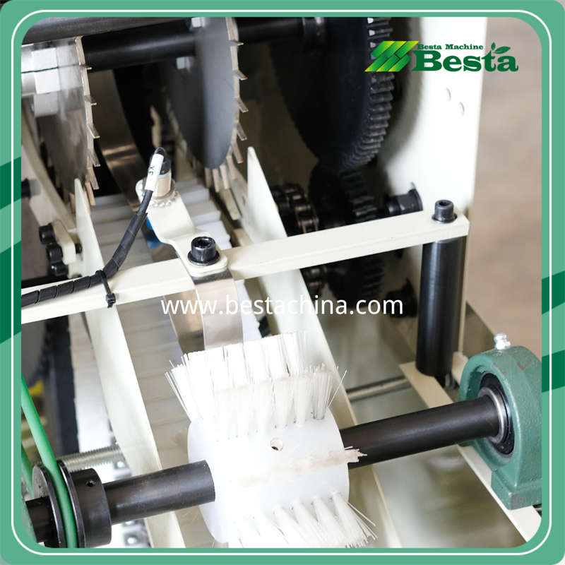 FX-001E Wooden Ice Cream Stick Selecting Machine