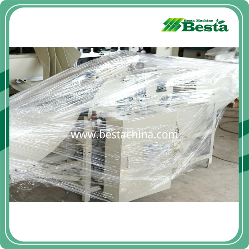 FX-001E Wooden Ice Cream Stick Selecting Machine