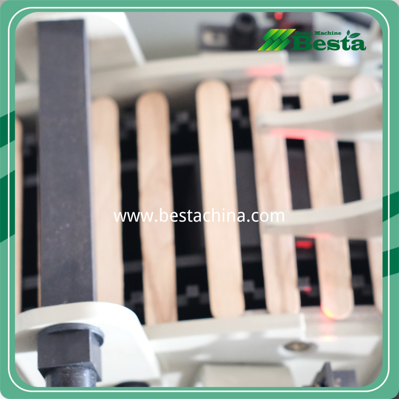 FX-001E Wooden Ice Cream Stick Selecting Machine