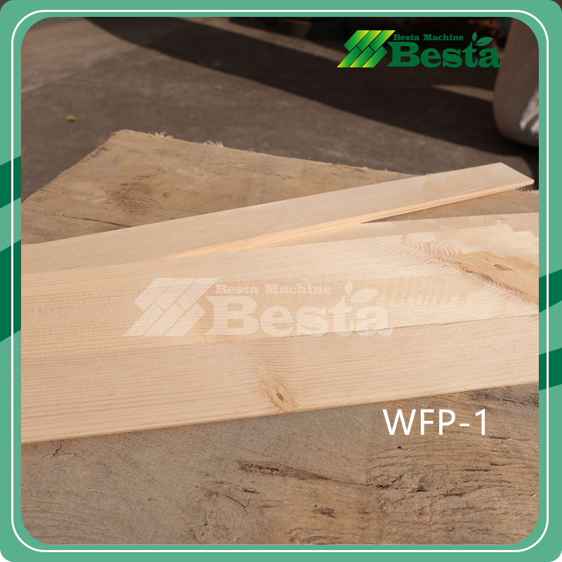 WFP-1 Wood Dissection Machine
