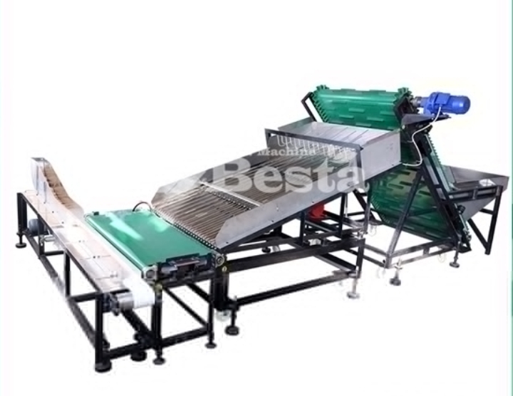 Wooden Coffee Stirring Stick Order Arranging Machine Export To Turkey