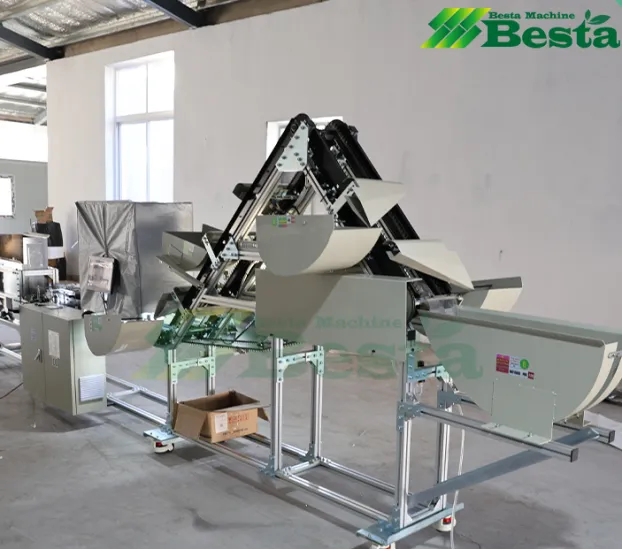 Manual vs. Automatic Reed Straw Sorting: Which Is Best for Large-Scale?