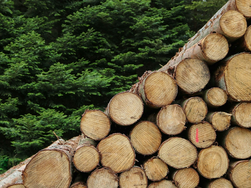 Wood processing machinery production3