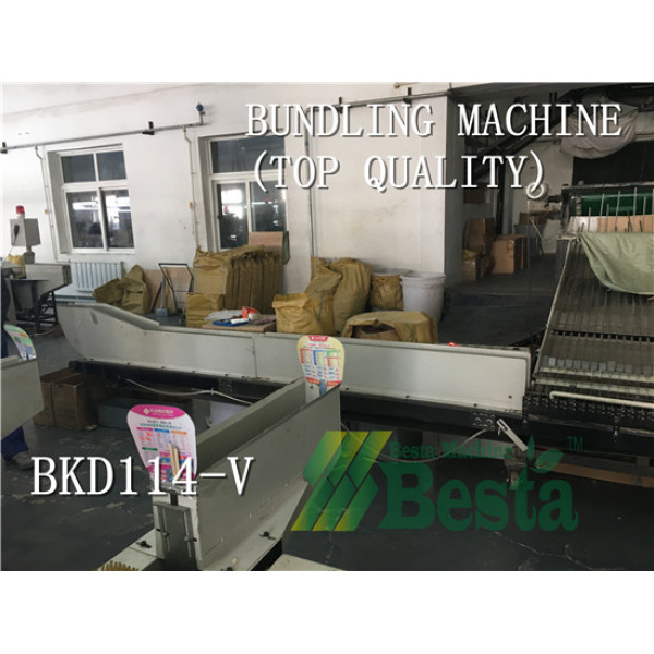 Ice cream stick bundling machine (50 pcs/bundle)