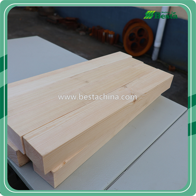 WFP-1 Wood Dissection Machine