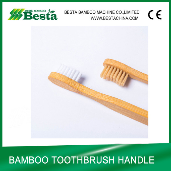 Bamboo Made Toothbrush