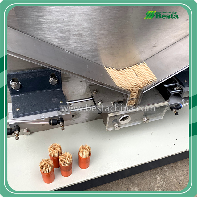 PZJ-1 Toothpick Plastic Container Packing Machine