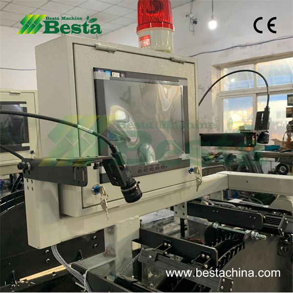 SJXJ-114 Visional Ice Cream Stick Selecting Machine