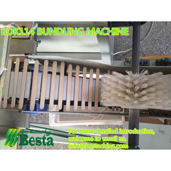 Ice-Cream Stick Bundlling Machine BDK114