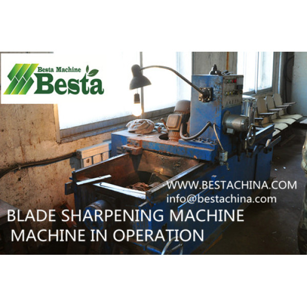 Blade Sharpening Machine (For Ice-Cream Stick Line)
