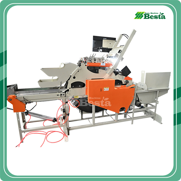 SSM-200 Round Wooden Stick Selecting Machine